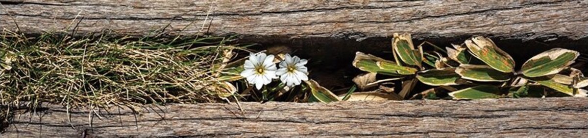김창희의 사진이야기